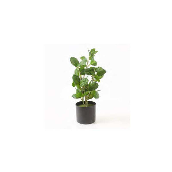 Artificial Plant With Pot (5488-GM4373-00)