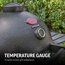 Char-Griller - AKORN Egg BBQ (16820)