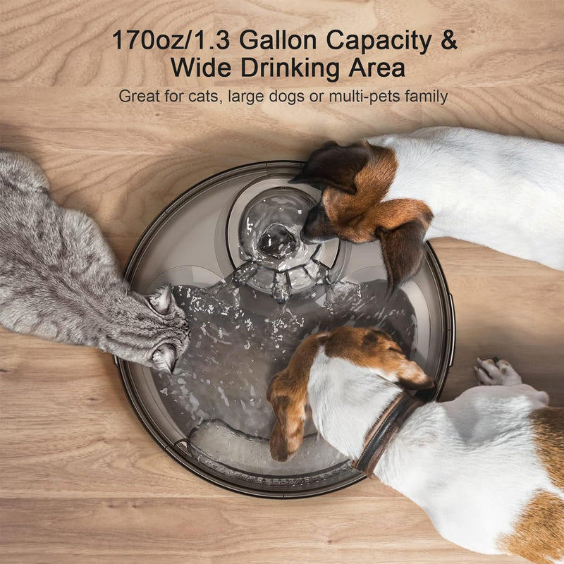 Automatic Pet Water Dispenser (DF10 SLV)