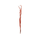 Birch Brach Berry twig (5998-GM6770-00)