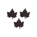 Box of Birch Maple Leafs (600071)