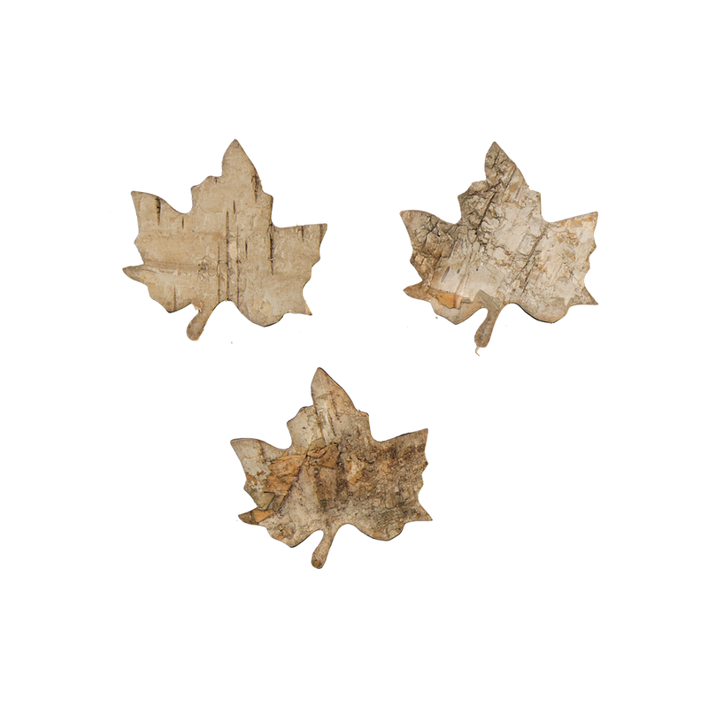 Box of Birch Maple Leafs (600071)
