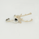 Cast Iron Reindeer Hook (7168-AX1345-WH)