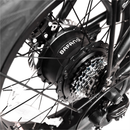 Maui Bikes - Foldable Electric Bike (BIK500)