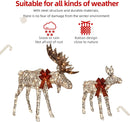 Hoyechi - 2 Piece Lighted Moose Family (2PC-MOOSE)
