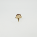 Water Hedgehog Door Knob (9044-JM3051-00)