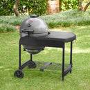 Char-Griller - AKORN Kamado Grill on Cart (E6520)