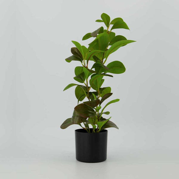 18in Peperomia Artificial Plant In Pot (5488-GM4374-00)