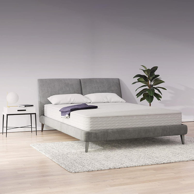 Signature Sleep - 8" Contour Reversible Mattress - FULL (5436096)