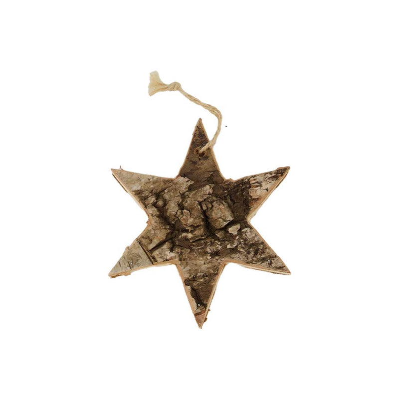 Birch Hanging Star Ornament (M177-400043-00)