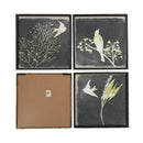 Framed Bird Silhouettes Art - Set of 4 (7168-HM8127-S4)