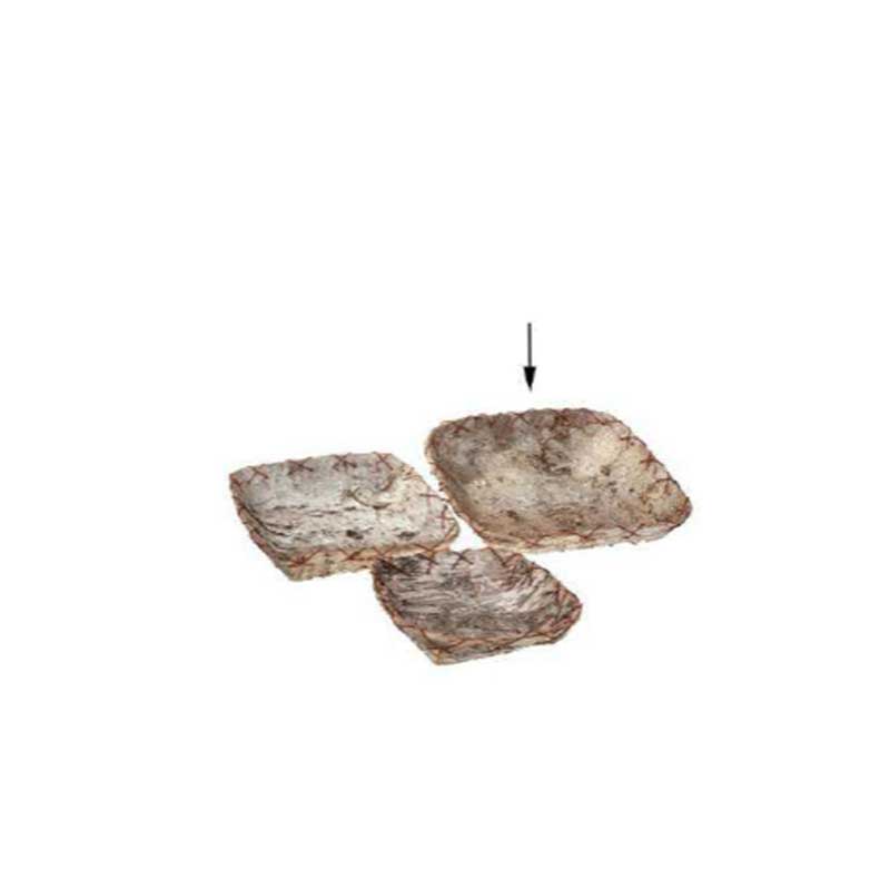 Birch Plate Large (M177-300033-0L)