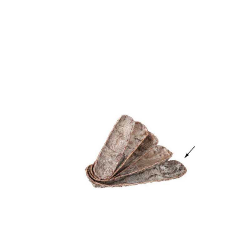 Single Birch Plate (M177-300075-XL)