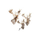 Birch Bark Moose Head Ornament (M177-400441-00)