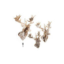 Birch Bark Moose Head Ornament (M177-400443-00)