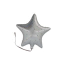 Resin Star Balloon Wall Plaque W LED Light  (6821-DM2373-00)