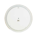 Teal Succulent On Plate (7399-EM0961-00)