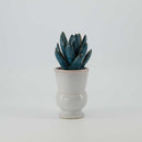 White Ceramic Pot With Plant (2929-DM2351-00)